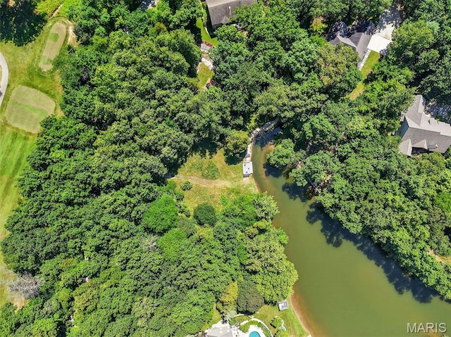 1108 Lake Charrette Dr, Innsbrook, MO 63390