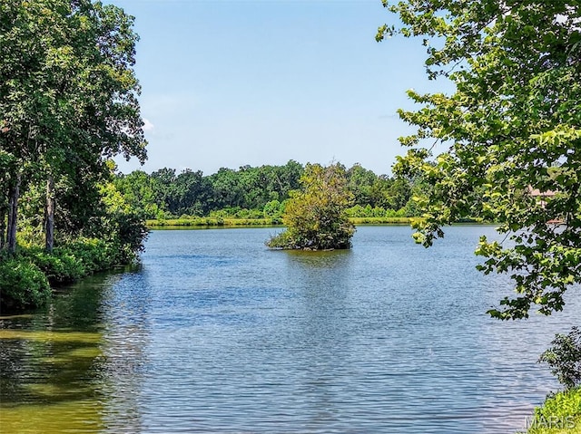 1108 Lake Charrette Dr, Innsbrook, MO 63390