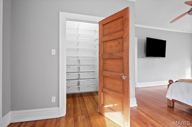 6230 Waterman Ave, Saint Louis, MO 63130 - bedroom featuring wood finished floors, crown molding, baseboards, a spacious closet, and a ceiling fan