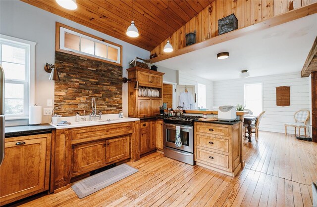 19530 County Road 3620, St James, MO 65559 - kitchen featuring stainless steel gas range oven, a peninsula, healthy amount of natural light, a sink, and lofted ceiling