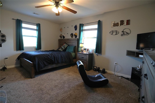 1988 Ripley Route Cc, Doniphan, MO 63935 - bedroom featuring carpet flooring, multiple windows, a ceiling fan, and baseboards