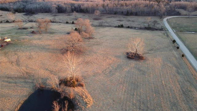 1988 Ripley Route Cc, Doniphan, MO 63935 - aerial view of sparsely populated area