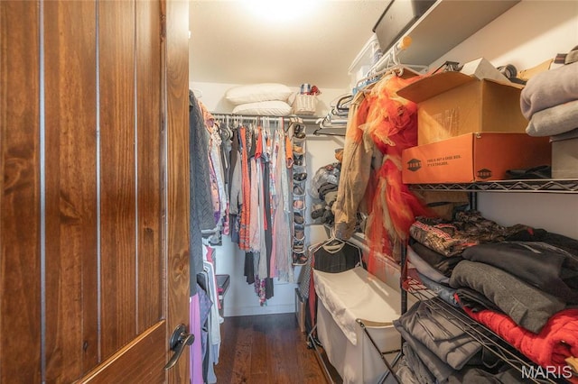 5819 Highway Vv Hwy, Vv, MO 65542 - spacious closet with wood finished floors