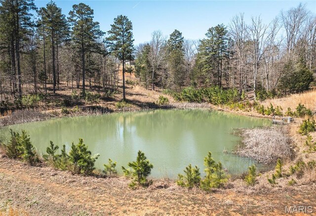 5819 Highway Vv Hwy, Vv, MO 65542 - water view
