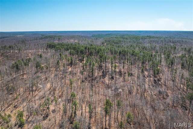 5819 Highway Vv Hwy, Vv, MO 65542 - aerial view of property and surrounding area with a forest