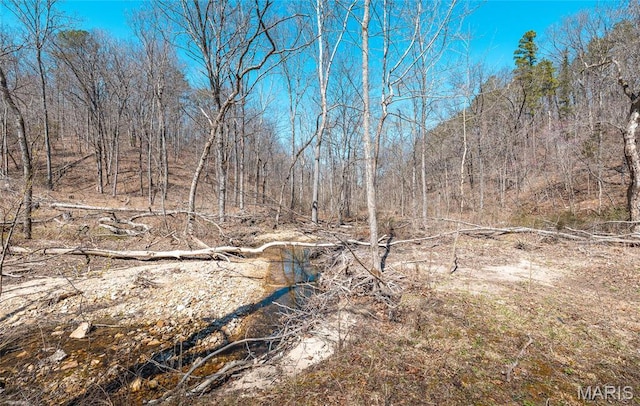 5819 Highway Vv Hwy, Vv, MO 65542 - view of yard
