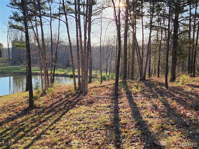5819 Highway Vv Hwy, Vv, MO 65542 - water view