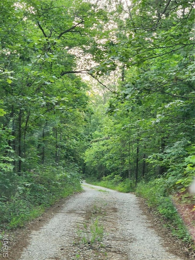 5819 Highway Vv Hwy, Vv, MO 65542 - view of street with a wooded view