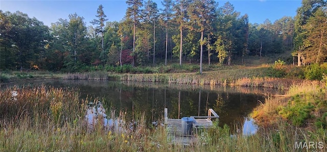 5819 Highway Vv Hwy, Vv, MO 65542 - water view featuring a heavily wooded area