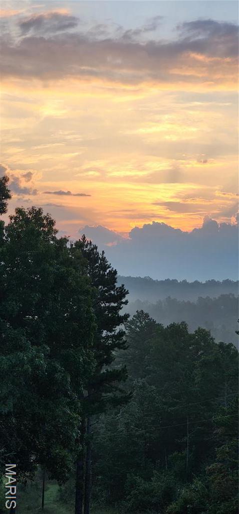 5819 Highway Vv Hwy, Vv, MO 65542 - view of mountain backdrop