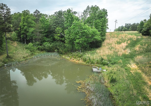5819 Highway Vv Hwy, Vv, MO 65542 - water view