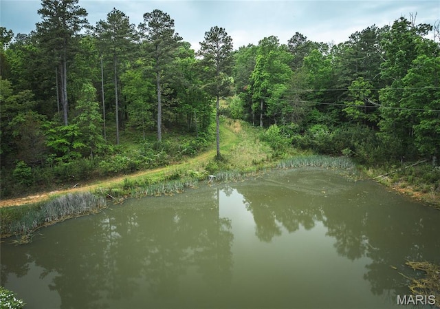 5819 Highway Vv Hwy, Vv, MO 65542 - water view with a heavily wooded area