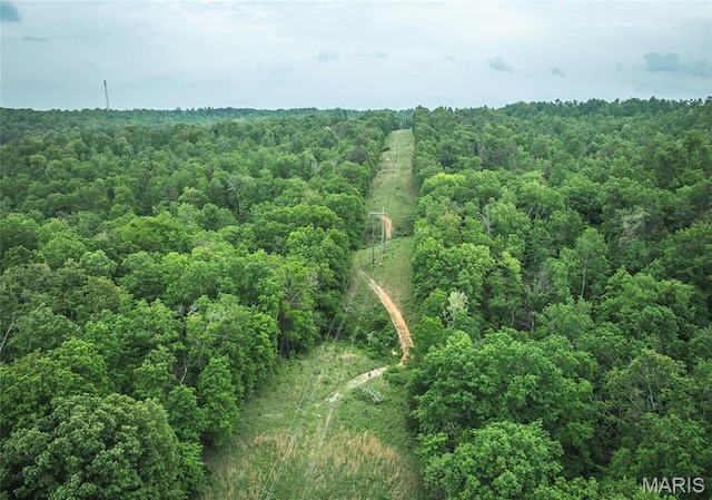 5819 Highway Vv Hwy, Vv, MO 65542 - view of property location with a heavily wooded area