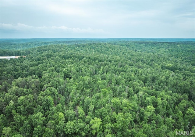 5819 Highway Vv Hwy, Vv, MO 65542 - drone / aerial view of a forest