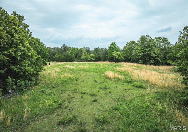 5819 Highway Vv Hwy, Vv, MO 65542 - view of tree filled area