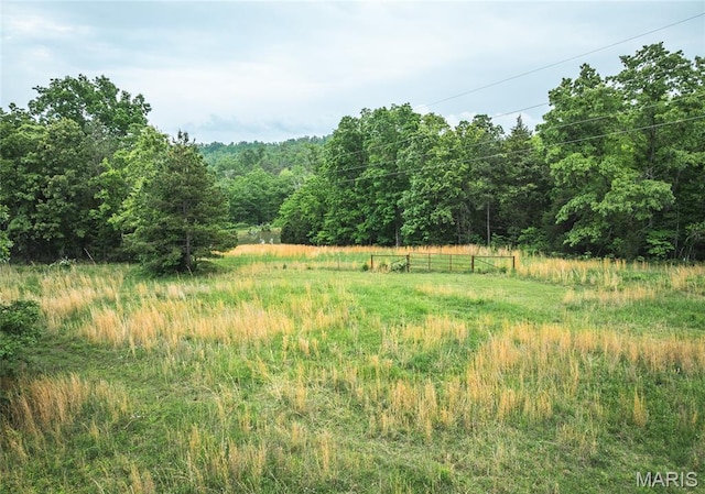 5819 Highway Vv Hwy, Vv, MO 65542 - view of woods