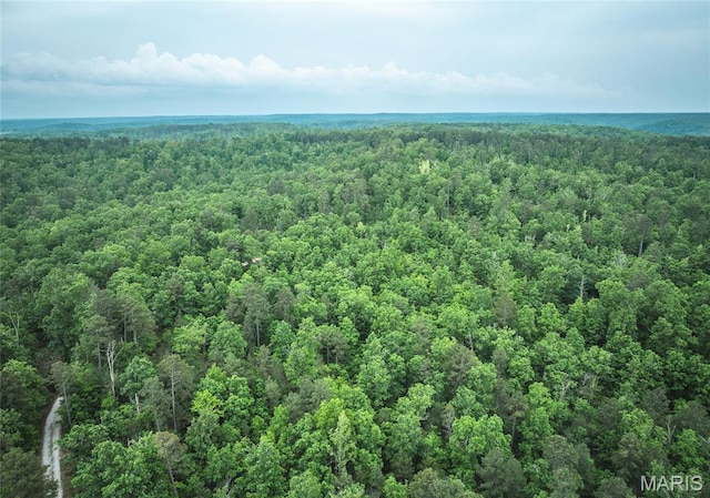 5819 Highway Vv Hwy, Vv, MO 65542 - bird's eye view of a heavily wooded area