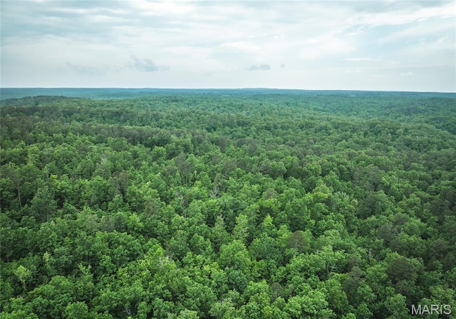 5819 Highway Vv Hwy, Vv, MO 65542 - bird's eye view of a forest