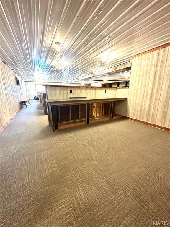 504 Alvarado Ave, Belle, MO 65013 - miscellaneous room featuring carpet and wooden walls