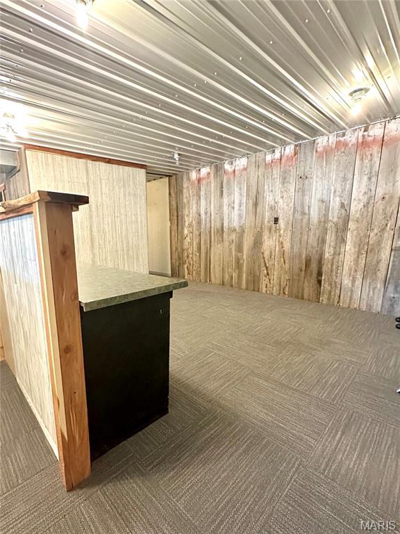 504 Alvarado Ave, Belle, MO 65013 - finished basement featuring carpet floors and wooden walls