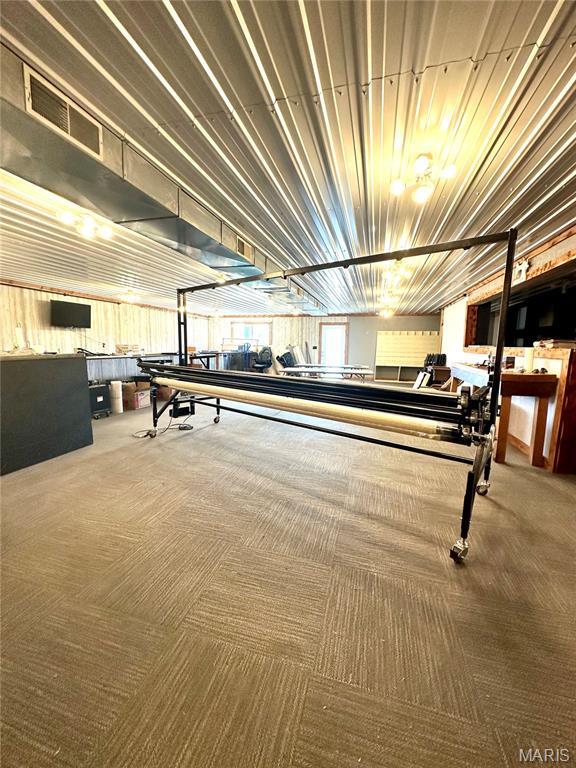 504 Alvarado Ave, Belle, MO 65013 - playroom with carpet