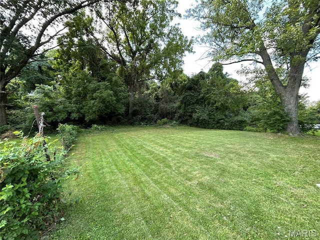 114 Bernhardt Ave, Saint Louis, MO 63121 - view of grassy yard