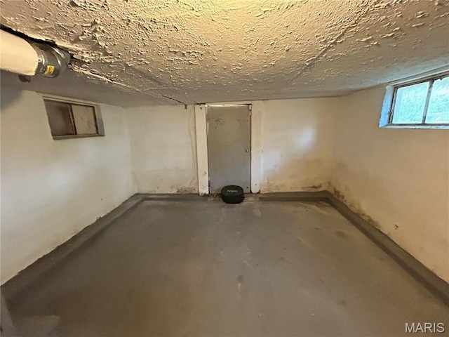 114 Bernhardt Ave, Saint Louis, MO 63121 - view of below grade area