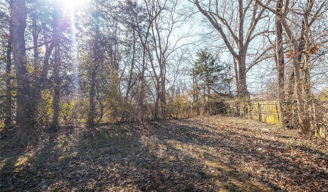 view of yard with fence and a view of trees