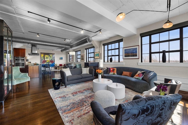 living area with dark wood-style flooring and track lighting