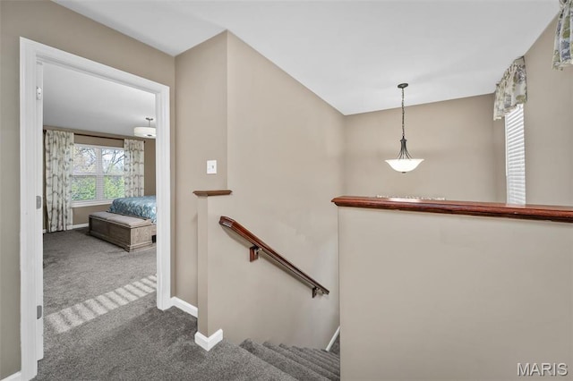 1705 Belleau Wood Dr, Saint Peters, MO 63376 - staircase with carpet floors and baseboards