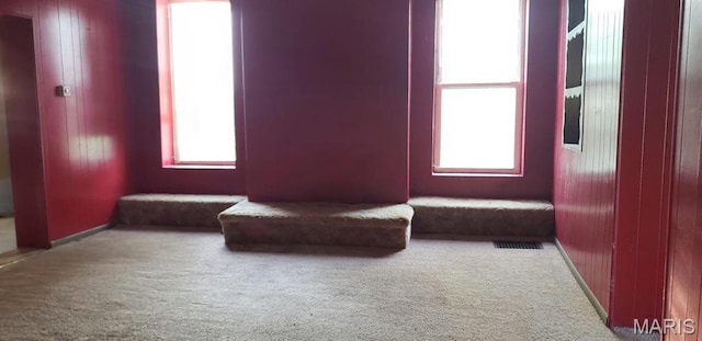 340 Main St, Hamilton, IL 62341 - sitting room featuring plenty of natural light, carpet floors, and wooden walls
