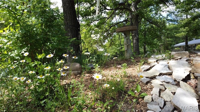 338 Mont Pellier St, Bonne Terre, MO 63628 - view of local wilderness