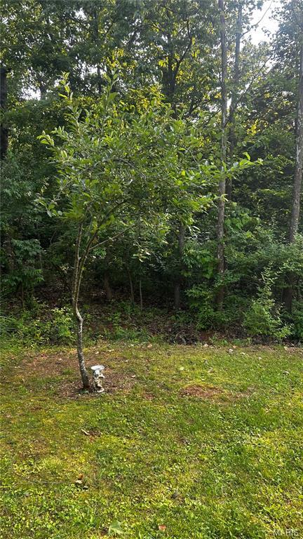 338 Mont Pellier St, Bonne Terre, MO 63628 - view of nature