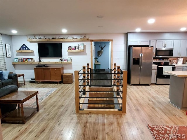 1028 County Road 606, Cape Girardeau, MO 63701 - living area featuring light wood-type flooring
