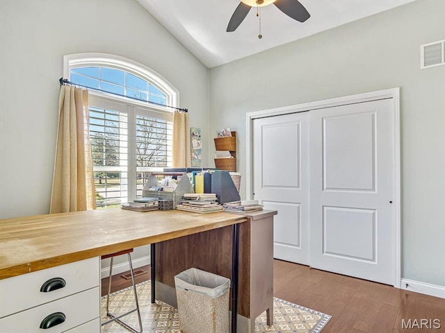 103 Evergreen Ct, Waterloo, IL 62298 - office featuring a ceiling fan, wood finished floors, lofted ceiling, and baseboards