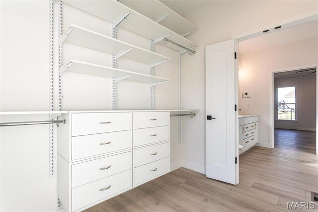 1519 Oglesby Dr, Edwardsville, IL 62025 - spacious closet with light wood-type flooring