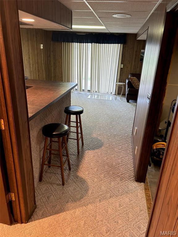 266 Hunt Club Cir, Galena, MO 65656 - bar featuring light colored carpet, wooden walls, and a drop ceiling