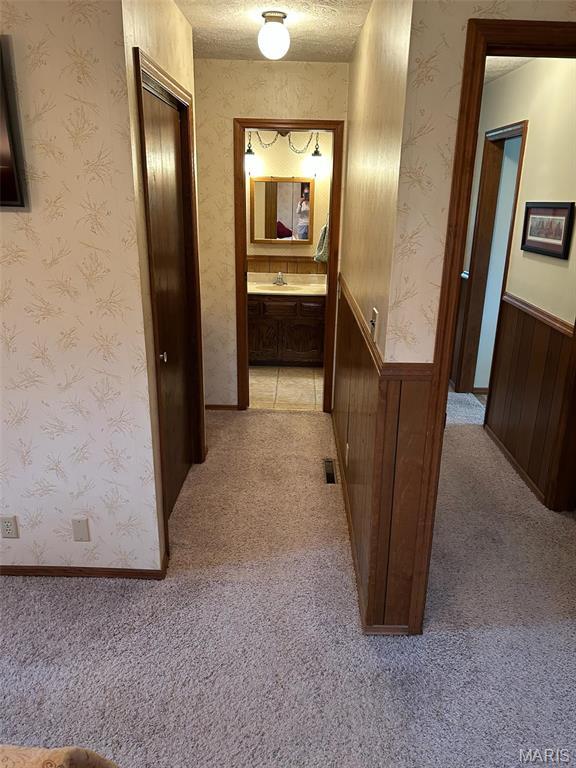 266 Hunt Club Cir, Galena, MO 65656 - hallway with light colored carpet, wainscoting, and a sink