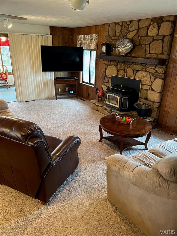 266 Hunt Club Cir, Galena, MO 65656 - living room featuring carpet, a wood stove, and wood walls