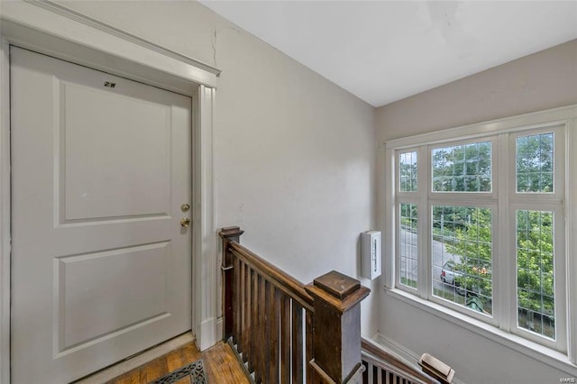 doorway with healthy amount of natural light and light wood-style flooring