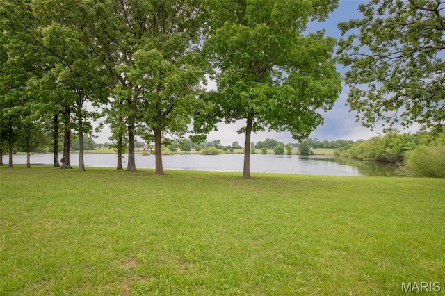 232 Confederate Ridge Rd, Doniphan, MO 63935 - view of green lawn featuring a water view