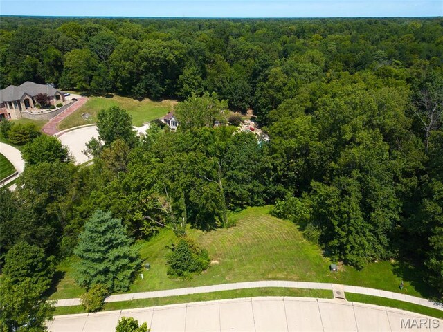 7447 Creek Ridge Ln, Edwardsville, IL 62025 - photo 7