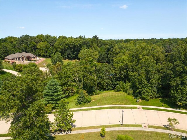 7447 Creek Ridge Ln, Edwardsville, IL 62025 - photo 8