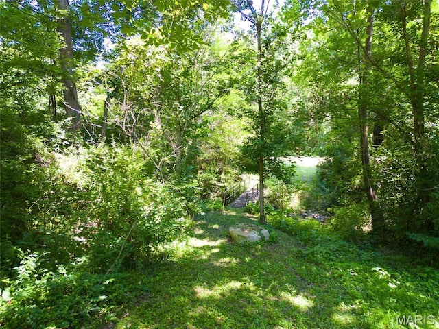 7447 Creek Ridge Ln, Edwardsville, IL 62025 - photo 10