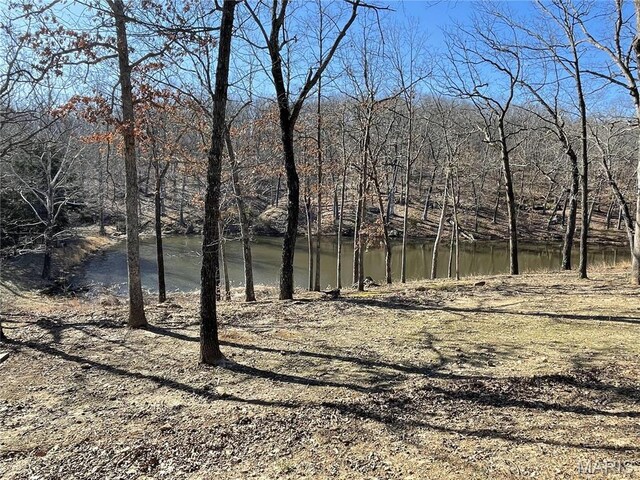 1770 Pigg Hollow Rd, Owensville, MO 65066 - water view