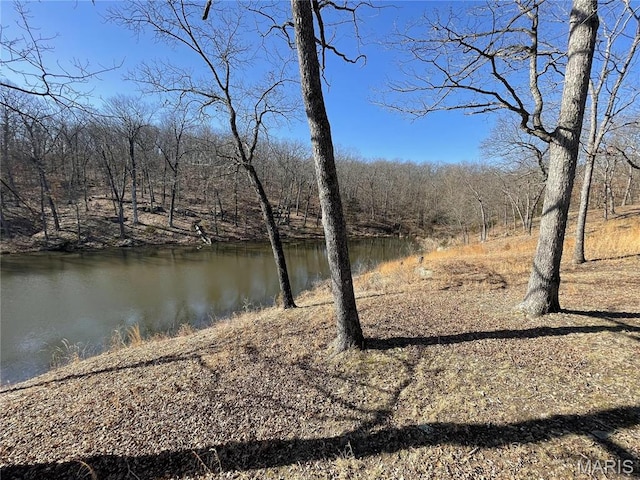 1770 Pigg Hollow Rd, Owensville, MO 65066 - water view with a forest