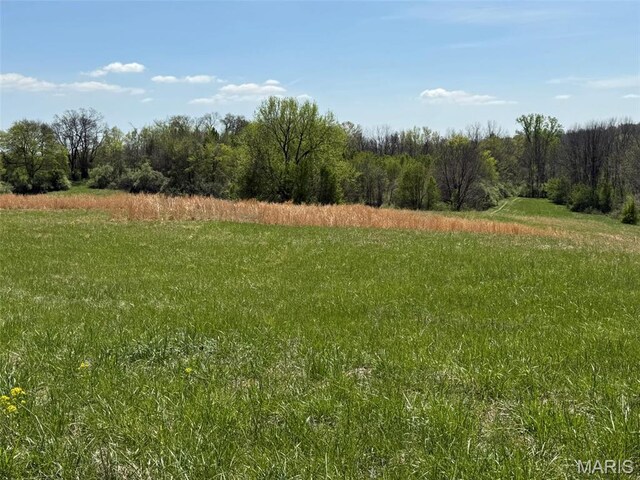 434 Whispering Wind Ln, Cape Girardeau, MO 63701 - view of local wilderness with rural landscape