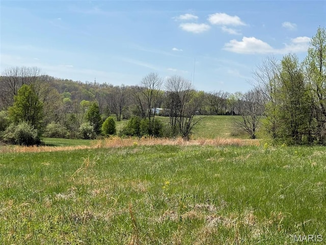 434 Whispering Wind Ln, Cape Girardeau, MO 63701 - view of local wilderness featuring rural landscape