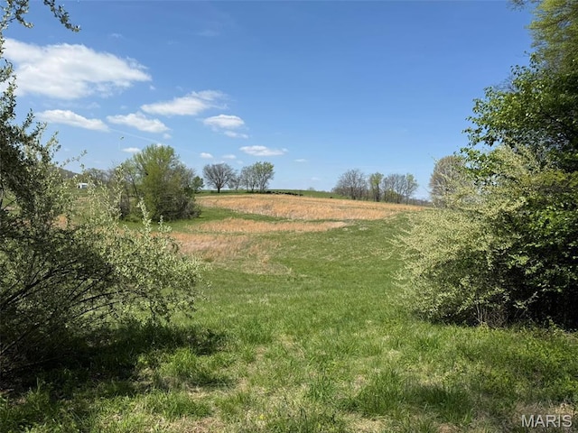 434 Whispering Wind Ln, Cape Girardeau, MO 63701 - view of local wilderness with rural landscape