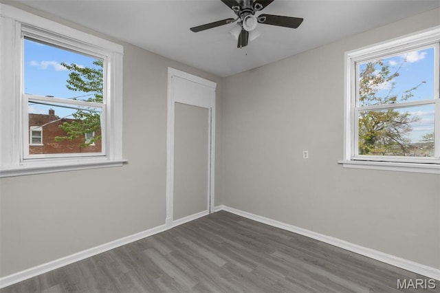 6040 Maple Ave, Saint Louis, MO 63112 - unfurnished bedroom with wood finished floors, multiple windows, baseboards, and ceiling fan